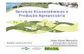 Serviços Ecossistêmicos e Pd ã A iáProdução AgropecuáriaAgricultura e Segurança Alimentar: Uso atual das terras do Brasil • Área Total do País = 851 milhões ha. • Terras