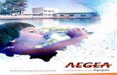 Relatório Anual Aegea Saneamento 2012 uma empresa do Grupoinesgodinho.com.br/pdfs/AEGEA_RA2012_low_13_05.pdf · Governança corporativa 44 Colaboradores 50 Sociedade e meio ambiente