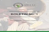 BOLETIN No. 1 20 · 2020-04-13 · modificados (OGM´S) en maíces y fertilidad de los suelos, sus efectos sociales y sus repercusiones en la soberanía alimentaria se realizó los