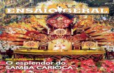 RIO CARNAVAL 2010 O esplendor do samba cariOca...Carioca. Ele reúne gente de todas as cores, sotaques, religiões e classes sociais em uma festa que não escolhe bairro nem seleciona