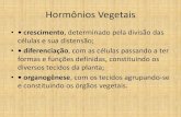 Hormônios Vegetais - Sacramentinas Conquistasacramentinasconquista.com.br/.../2/...vegetais1.pdf · Hormônios Vegetais •• crescimento, determinado pela divisão das células
