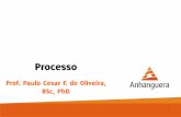 Processo - blogdoprofpc.files.wordpress.com · 05/05/14 © P C F de Oliveira 2014 12 Capítulo 05 Processo Identificação! Recebe uma identificação única (PID – process identification)