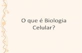 O que é Biologia Celular?mundodascelulas.weebly.com/uploads/4/2/8/7/4287006/1... · 2018-10-16 · O sangue era bombeado para "irrigar" os tecidos e novo sangue era produzido de