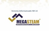 Sistema Informatizado NR-13 - Megasteam · 2019-08-21 · exigido pelo item 13.5.3.1 da NR-13.Treinamento de Segurança Durante a presente inspeçäo nào foram apresentados os certificadOS