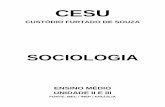 CESUcesu.org.br/wp-content/uploads/2017/04/Sociologia.pdf · cesu custÓdio furtado de souza sociologia unidade ii cultura, memÓria e identidade ensino mÉdio