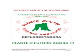 REFLORESTAMENTO DE SERINGUEIRA! - Viveiro Ambiental · 2014-10-22 · Plante Roots Viveiro Ambiental – BR 153 Km 8,5 Ap. de Goiânia – Go – Fone: (62) 3598-08787 Página 2 SERINGUEIRA