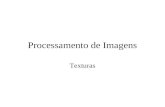 Processamento de Imagens - USPjbatista/procimg/2016/textura.pdf · Definição 2 “Textura é definida como o arranjo espacial e a natureza de componentes estruturais que podem ser