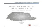 RELATÓRIO ANUAL DE ATIVIDADES – 2016criminal.mppr.mp.br/arquivos/File/2016_Relatorio_anual.pdf · (Iniciativa 8.3), nos servimos do presente expediente para trazer a público o