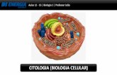 CITOLOGIA Aulas 12 - 15 | Biologia 1 | Professor João · • Selecionar os compostos que entram e saem da célula(permeabilidade seletiva). • Protegera célula contra agentesmecânicos