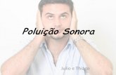 Poluição Sonora - aprendizakzonobel.webnode.com€¦ · •A poluição sonora vem aumentando a cada propaganda exagerada vista nas ruas, aquele comerciante, o ambulante, o feirante,