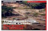 The Amazon’s Silent Crisis: Partners in Crime€¦ · on earth. It covers 5% of the world’s surface area and extends over nine South American countries,1 with just under two-thirds