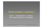Biodiversidade e Ambiente Imaloucao/Aula 16BA.pdf · 11-05 Biodiversidade e Ambiente I 2005 - 2006 Figure 1 Model for SRK-mediated self- incompatibility in Brassica, stemming from