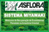 Minicurso de Recuperação de Ecossistemas Florestais na ... · na produção de humus. Adubo inorgânico: Obtidos a partir de extração mineral ou refino do petróleo Compostos