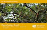 CocoaAction Brasil...SISTEMAS AGROFLORESTAIS Sistemas Agroflorestais (SAF) com produtividade, lucratividade e ambientalmente equilibrado 1 10.1 Legalização da plantação de cacau