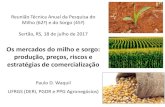 Os mercados do milho e sorgo: produção, preços, riscos e ......Reunião Técnica Anual da Pesquisa do Milho (62ª) e do Sorgo (45ª) Sertão, RS, 18 de julho de 2017 Os mercados