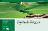 Manejo do Risco de Enfezamentos e da Cigarrinha no Milho · 2018-05-22 · Ao longo do tempo, a cigarri-nha se perpetua migrando de plantas de milho adultas para plântulas, transpor-tando