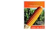 INSTITUTO AGRONÔMICO DO PARANÁ - USP · foram efetuadas segundo recomendações técnicas para a cultura do milho. Para o ensaio estadual de cultivares de milho BT resistentes às