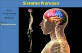 Sistema Nervoso · 2013-06-04 · Sistema Nervoso 1) Introdução O sistema nervoso é responsável pelo ajustamento do organismo ao ambiente. Sua função é perceber e identificar