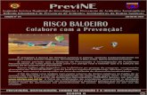 Edição nº juLho de 2012 RISCO BALOEIRO · Boletim Informativo de Prevenção de Acidentes Aeronáuticos da Região Nordeste Segundo Serviço Regional de Investigação e Prevenção