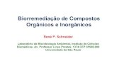 Biorremediação de Compostos Orgânicos e Inorgânicos · 2019-01-07 · René P. Schneider Laboratório de Microbiologia Ambiental, Instituto de Ciências Biomédicas, Av. Professor