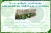Biorremediação de efluentes agroindustriais …biobip.pt/enc.nac.bioenergia/enc_nac_bio_26nov.007.pdfFaculdade de Ciências e Tecnologia | Catarina Viegas | | 26 de novembro de 2015