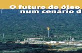 O futuro do óleo e gás /2007 num cenário d e transformaçõesgeocompany.com.br/public/img/materias/especial_oleo_gas.pdf · 2020-04-02 · de investimentos de 87,1 bilhões de