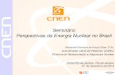 Seminário Perspectivas da Energia Nuclear no Brasil · Acidente de Fukushima Em 11 de março de 2011 ocorre o Acidente na Central Nuclear de Fukushima Daí-ichi. CNEN promove uma
