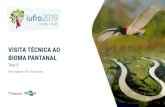 VISITA TÉCNICA AO BIOMA PANTANALiufro2019.com/wp-content/uploads/2019/04/IUFRO_Tour_5-PT.pdf · Pantanal. Uma das maiores áreas alagadas contínuas do planeta, com 151.487 km2,
