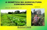 A GENÉTICA NA AGRICULTURA CONVENCIONAL“REVOLUÇÃO VERDE ” : DA TRADICIONAL PARA A EMPRESARIAL ... baseado no agronegócio. ... transgênico da Monsanto desenvolveram anomalias