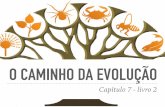 O CAMINHO DA EVOLUÇÃO...O caminho da evolução - cap 7 - 9º ano (PDF) Created Date 20190531003128Z ...