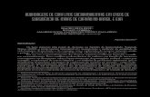 ABORDAGENS DE CONFLITOS SOCIOAMBIENTAIS EM CASOS DE … · 2015-03-27 · ABORDAGENS DE CONFLITOS SOCIOAMBIENTAIS EM CASOS DE SUBSIDÊNCIA DE MINAS DE CARVÃO NO BRASIL E EUA MAURO