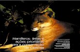 Mamíferos: Æreas e - · PDF file A fauna de mamíferos da caatinga tem sido geralmente reconhecida como depauperada, representativa de apenas um subconjunto da fauna de mamíferos