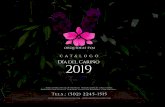 CATÁLOGO Día del Cariño 2019 - Orquideas · 2019-02-04 · Día del Cariño 2019 PEDIDOS: (502) 2245-1515 SV19-04 1 orquídea phalaenopsis con bromelia con base de barro artesanal.