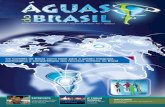 Os Comitês de Bacia como base para a gestão integrada ...aguasdobrasil.org/downloads/pdf/Revista Aguas do... · 2 Revista ÁGUAS DO BRASIL 04 Expediente MOMENTO DE MOBILIZAÇÃO