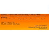 CLEAR-FGV e IPEA 28 e 29 Set 2015 São Paulo Lígia …cmicro.fgv.br/sites/cmicro.fgv.br/files/arquivos/Lígia Vasconcellos.pdf• Mensuração de impacto e retorno social e/ou privado: