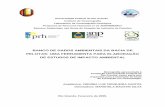 BANCO DE DADOS AMBIENTAIS DA BACIA DE PELOTAS: UMA … · 2017-07-04 · de empreendimentos, estabelece-se o objetivo deste trabalho, organizar um banco de dados ambientais da região