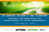 OS BANCOS COLHEM O QUE PLANTAM? · Guia dos Bancos Responsáveis (Fair Finance Guide Brazil) e rede ... uma transição de modelos tradicionais pouco sustentáveis para métodos e