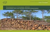 Relatório e Contas 2016 - FSC Portugal...2.1 Actividades decorrentes dos objectivos programáticos para o triénio 2014-2017 A. Promover junto da autoridade florestal nacional a certificação