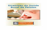 Diretrizes da Saúde Bucal de Pelotas · informações contidas no 17º Caderno de Atenção Básica, desenvolvido pelo Ministério da Saúde em 2006. Também, as Diretrizes da Saúde