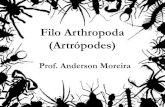 Filo Arthropoda (Artrópodes)“PODES.pdf · Filo Arthropoda (Artrópodes) Prof. Anderson Moreira . Arthropoda do grego arthron=articulação; podós=perna • Características Gerais: