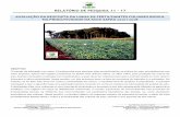 RELATÓRIO DE PESQUISA 11 17 - Biosul Fertilizantes · Porte V4 (m) 0,26 0,26 Porte V5 (m) 0,31 0,28 Comprimento raiz principal (V4) 20,00 15,60 Plantas viáveis (ha) 200.000 200.000