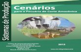 Cenários - Universidade Federal de Minas Geraiscsr.ufmg.br/pecuaria/pdf/sistemas_de_producao.pdf0,8 kg/dia a pasto ou, ainda, acima de 1,0 kg por dia em sistemas de confinamento (2).