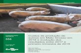 Custos de produção de suínos em Mato Grosso em 2018 e ...ainfo.cnptia.embrapa.br/digital/bitstream/item/199695/1/COT558-final.pdf2 Custos de produção de suínos em Mato Grosso