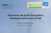 Panorama do Setor Energético Nacional e presença …feern.herokuapp.com/PDF/Painel 2/02 - Energia Eolica...2017/10/13  · 2010 LER e LFA Inscritos 11 GW Contratação 899 MW médios