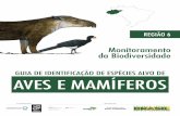 GUIA DE IDENTIFICAÇÃO DE ESPÉCIES ALVO DE AVES E … · 2020-07-30 · de Aves Silvestres (CEMAVE) e de Mamíferos Carnívoros (CENAP). REALIZAÇÃO Esta publicação foi realizada