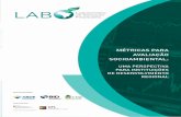 LAB F DE LABORATÓRIO INOVAÇÃO INANCEIRA · 1 mÉtricas para avaliaÇÃo socioambiental: uma perspectiva para instituiÇÕes de desenvolvimento regional lab laboratÓrio de inovaÇÃo