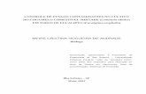 MEIRE CRISTINA NOGUEIRA DE ANDRADE...iv ANDRADE, M. C. N. de. Controle de fungos contaminantes no cultivo do cogumelo comestível shiitake Lentinula edodes) em toros de eucalipto(