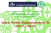 Aula 6. Normas Regulamentadoras III: NR-17 e NR-32 · 2020-06-09 · NR 17 - Ergonomia 17.1.2. Para avaliar a adaptação das condições de trabalho às características psicofisiológicas