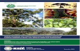 A Fundação Grupo Boticário de Proteção à Natureza é uma ... I - Diagnos… · Volume I - Relatório Final: Diagnóstico das Cadeias Produtivas do Pinhão e da Erva-Mate 2.