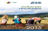 Relatório anual 2015 do IICA Agricultura, oportunidade de ...repiica.iica.int/docs/B3958p/B3958p.pdf · encontrar maneiras sustentáveis de aumentar a produtividade e reduzir as